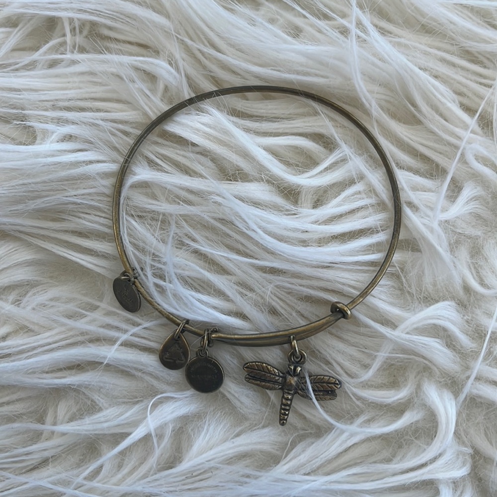 Alex and Ani Dragonfly Bracelet